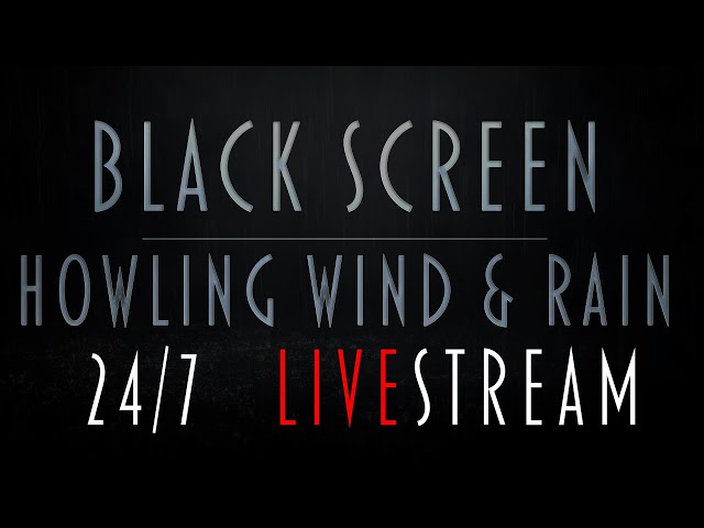 Black Screen Howling Wind & Rain & Thunder | LiveStream 24/7