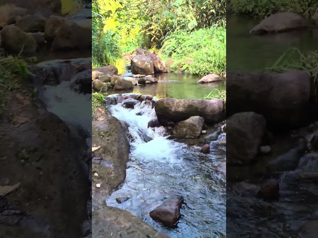 The stream of this water is almost potable for it's clean and crystal clear