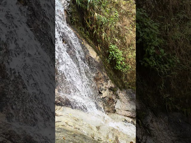 🇹🇭 Mae Kampong waterfall, Chiang Mae #travel #thailand #tourism #nature #waterfall l