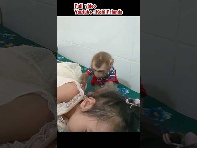 The baby monkey disturbed the baby sleep and made her cry #cutemonkey