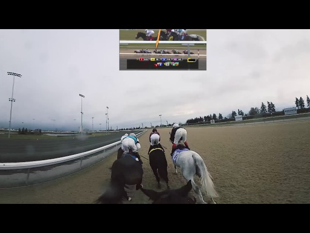 360AR HORSE RACE - NOT STABILIZED