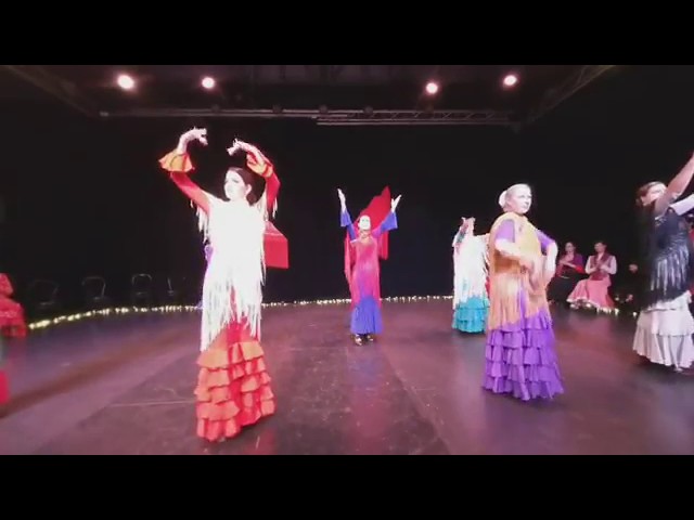 180 3D VR Life Footage Flamenco Bamberas Susana Casas