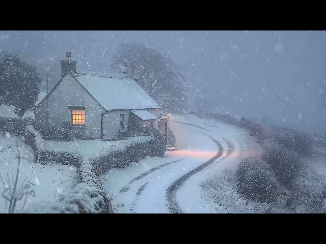 Powerful Blizzard Ambience with Roaring Winds | Perfect for Deep Sleep & Relaxation