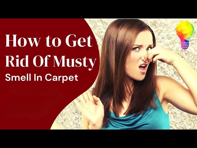 How To Get Rid Of Musty Smell In Carpet?