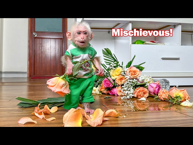 Lala panics when she drops the flower vase!