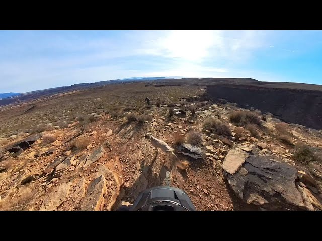 When Dog and Tire Almost Meet at the Bottom of a MTB Drop