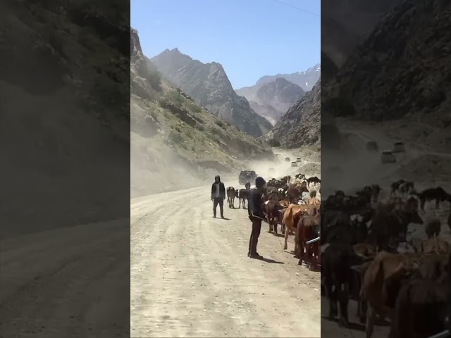 Road to the Seven Lakes: from Panjakent Bazaar to the First Lake of the Haft Kul Chain, Tajikistan