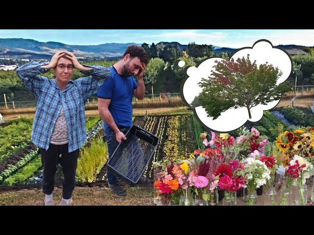 We Almost Didn't Make It! -  Burntout Harvest Day