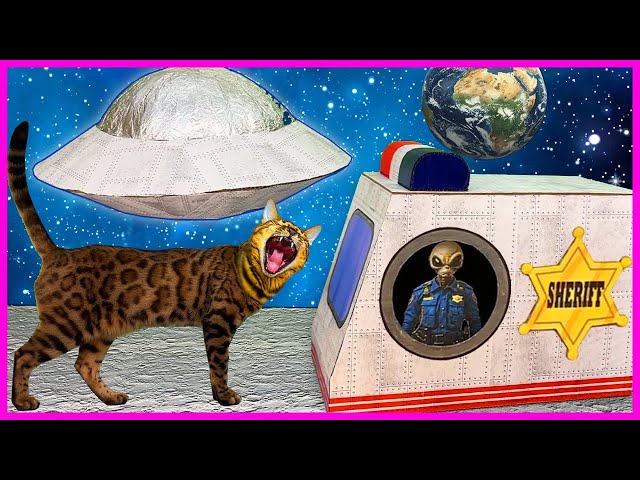 CAT QUEST 🐈 | ESCAPE FROM SPACE PRISON IN REAL LIFE