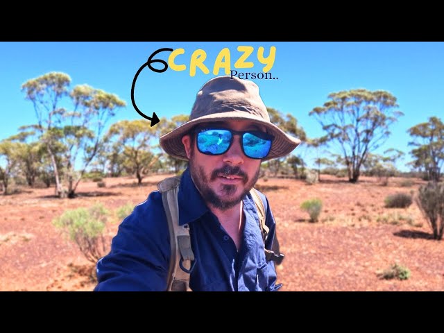 Gold Prospecting Western Australia | Gazebo ,Gold And Yowies?