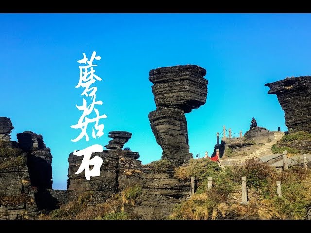 梵净山蘑菇石是贵州标志性景点之一 Mushroom Stone of Fanjing Mountain is one of Guizhou's landmarks