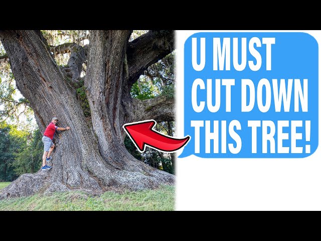 HOA Demands Veteran Cuts Down $80,000 Tree On His Property! "It Violates HOA LAWS"