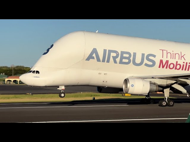 Airbus A300-608ST Beluga at Lajes(LPLA)