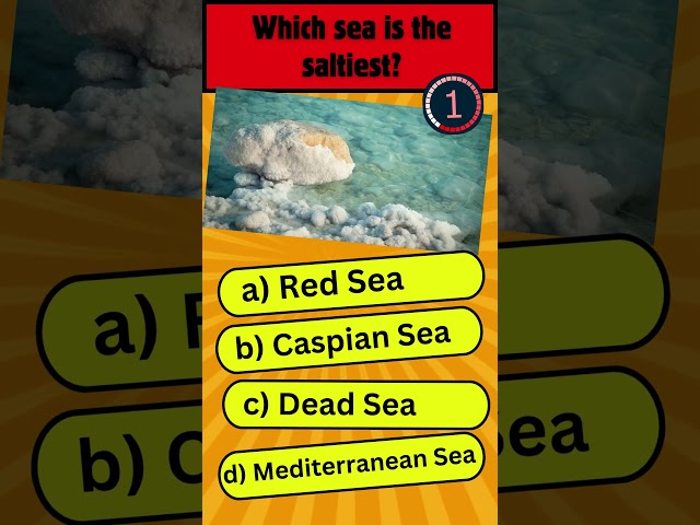 Which Sea is the Saltiest? Discover the World’s Saltiest Body of Water! #gk  #quiz #viralvideo #sea