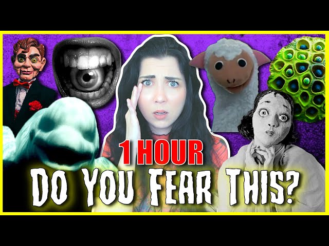 1 HOUR Of The World's Strangest Phobias (Do You Fear This?)