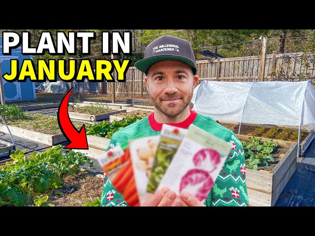 36 Veggies You Can Plant In January RIGHT NOW!