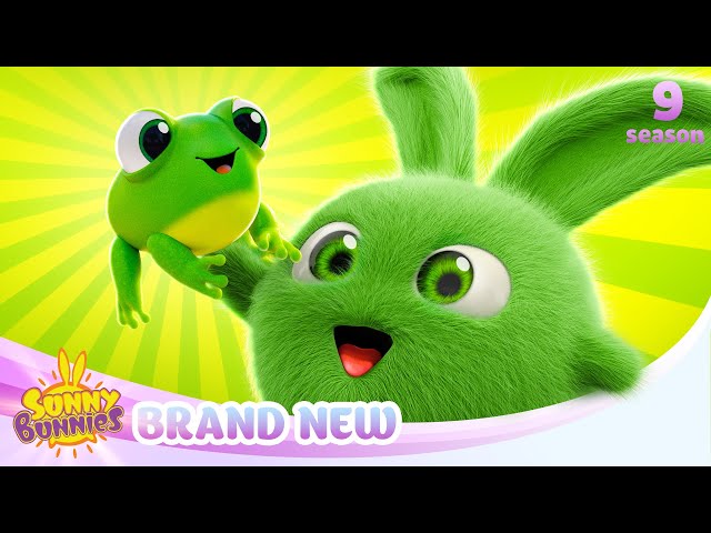 Meet Mimi - SUNNY BUNNIES | BRAND NEW EPISODE | Season 9 | Cartoons for Kids