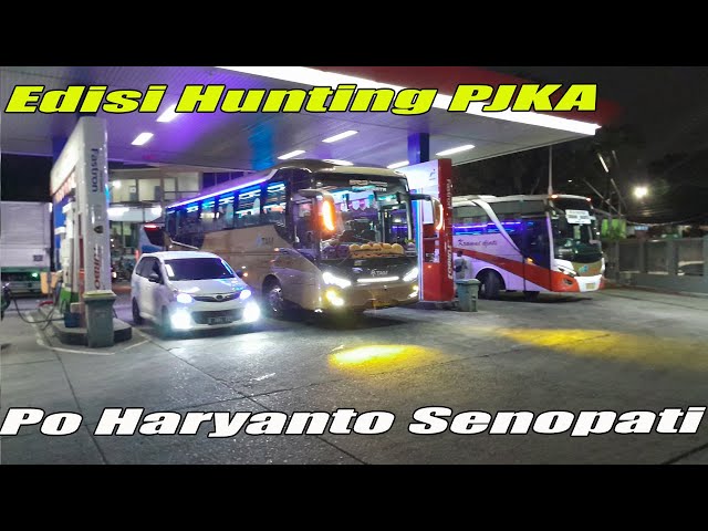 Hunting special bertemu Po Haryanto Senopati Persiapan Family Gathering