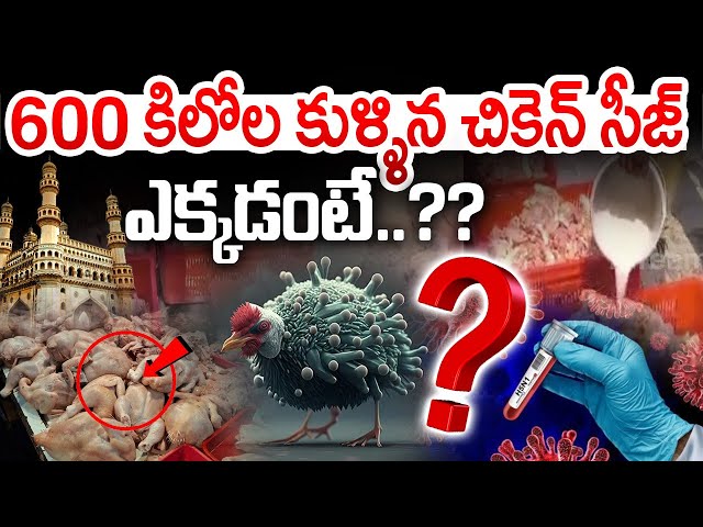 Live: హైదరాబాద్ లో 600 కిలోల కుళ్ళిన చికెన్ సీజ్..!! 600 kg of spoiled chicken seize in Hyderabad