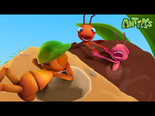 Meatball | Antiks 🐜 | Funny Cartoons for Kids