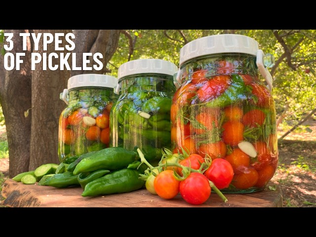 Pickle Recipe 3 WAYS! Winter Prep with Harvesting from Farm Fresh🍅farm to table🥒