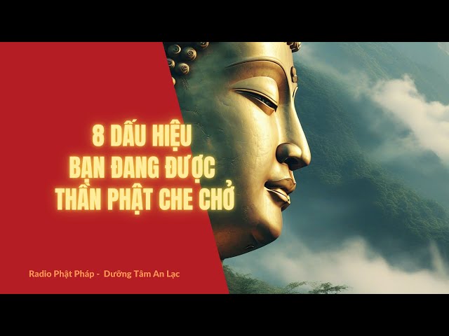 8 dấu hiệu bạn đang được thần Phật che chở. #phatphap #loiphatday #podcast