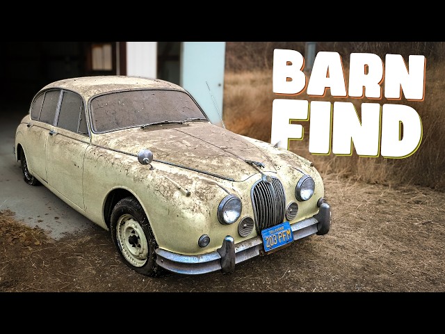 First Wash in 40 Years: Barn Find Jaguar | Satisfying Restoration