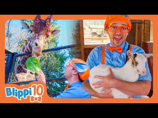 Blippi's Best Animal Moments: Top 10 Adventures! - Blippi's Top 10 | Educational Videos for Kids