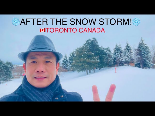 AFTER THE SNOW STORM! TORONTO🇨🇦CANADA ep.157