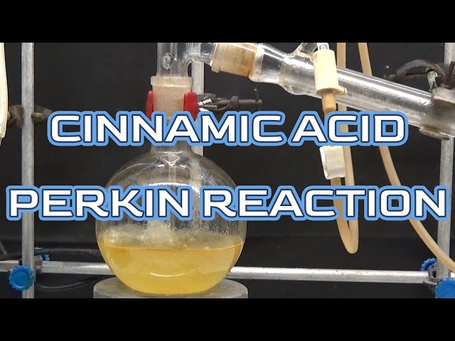 CINNAMIC ACID, PERKIN REACTION.#ncchem