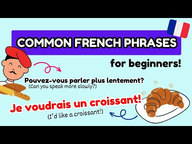 COMMON FRENCH Conversation PHRASES for EVERY French Learner in EVERYDAY LIFE dialog, Learn French