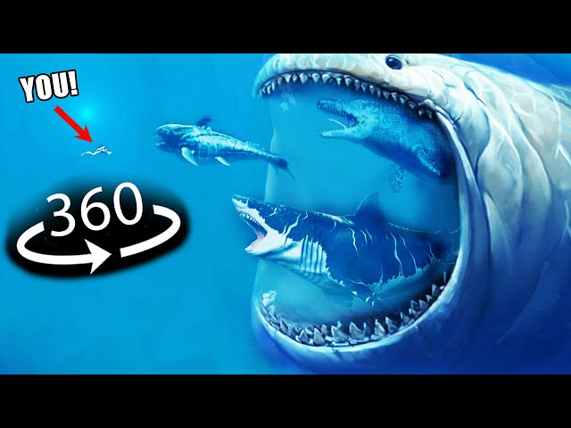 360° - Sea Monsters Size Comparison | 3D Virtual Reality Experience