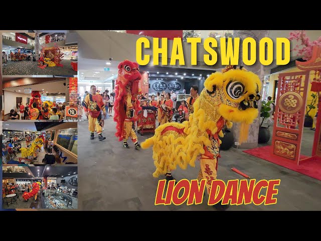 悉尼🇦🇺車士活文華社農曆新年🏮🧧舞獅🦁采青祝福 Lion Dance Blessings for Good Luck at Chatswood Mandarin Centre #舞狮 #新年 #祝福