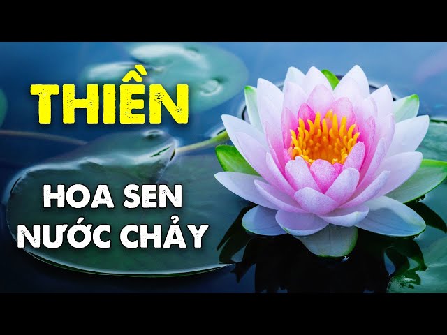 Nhạc Thiền Tịnh Tâm An Nhiên Tự Tại - Nhạc Thiền Hoa Sen Nước Chảy