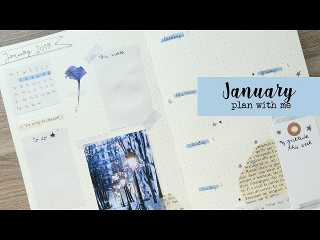 PLAN WITH ME | January 2019 | New concept