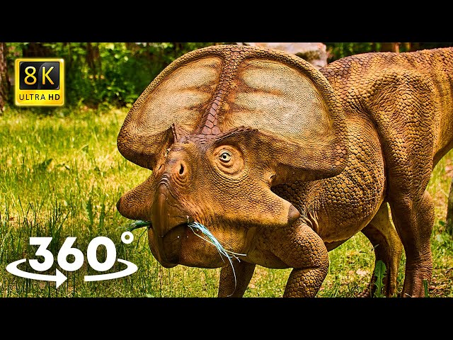 VR Jurassic Encyclopedia #3 - Protoceratops dinosaur facts 360 Education