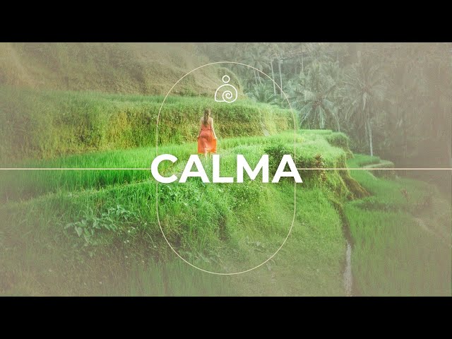 C A L M A🌿 La música calmante restaura el sistema nervioso