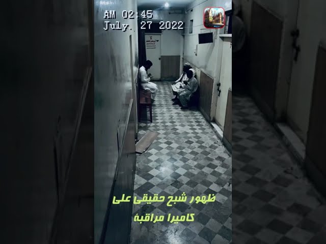 ظهور شبح حقيقي