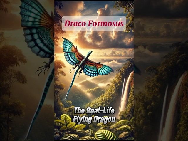 "Draco Formosus: The Real-Life Flying Dragon"