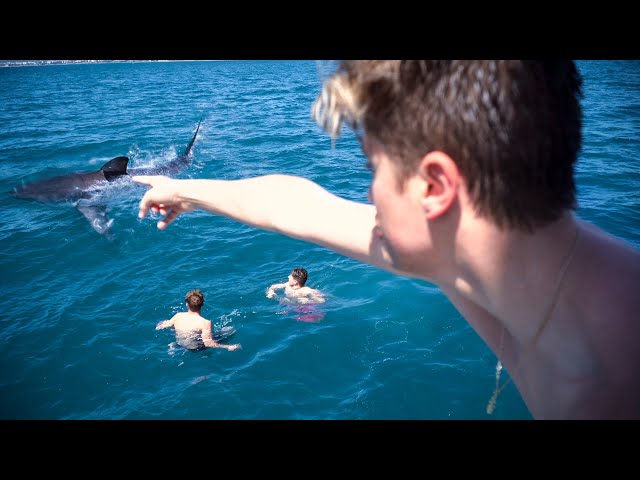 SHARK PRANK ON MY BEST-FRIENDS *Went Real*