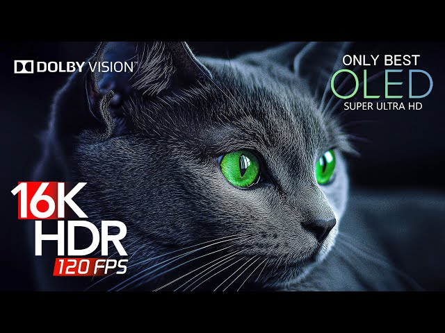 Only Best Dolby Vision 16K HDR 120FPS (16K Video) - Dolby Atmos