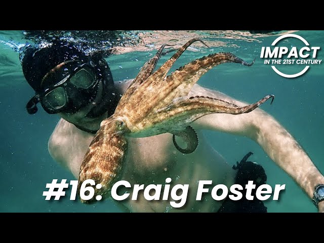 EP#16: Craig Foster - My Octopus Teacher | Finding Wildness | Protecting the Great African Seaforest