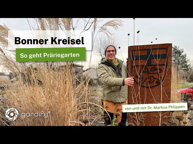 Bonner Kreisel - so geht Präriegarten - Stauden und Gräser für trockene heiße Standorte im Winter