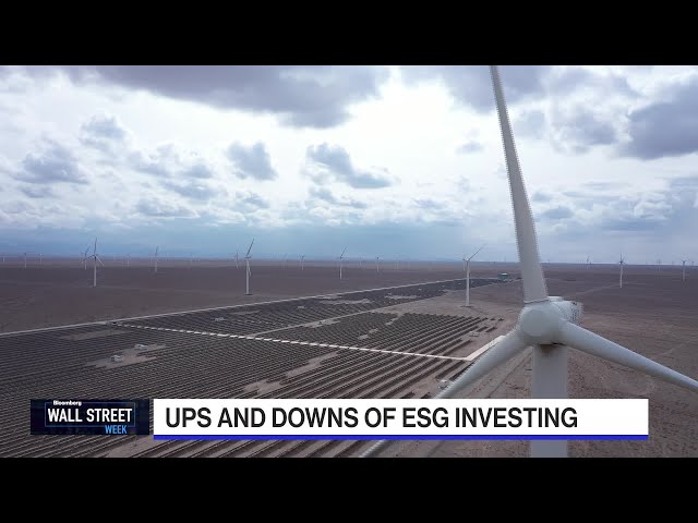 The Rise and Fall of ESG Investing