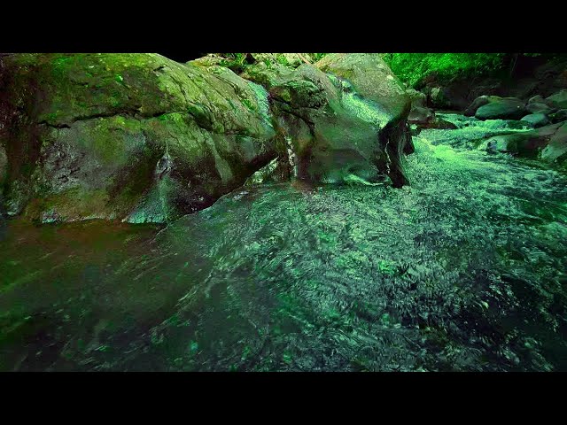 Soothing River Ambiance for Mental Clarity and Sleep