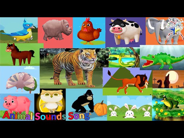 The Animal Sounds Song AS7AW2  Let's see what the animalss say! |Edufam Kids Song and Nursery Rhymes