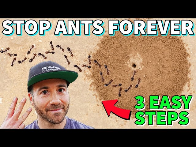 Make Your Yard ANT FREE FOREVER In 3 Easy Steps