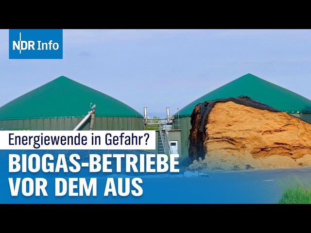 Aus für Biogas? Landwirte kämpfen um Zukunft der Anlagen | NDR Info