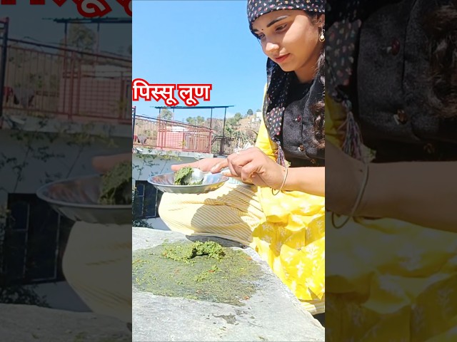 पहाड़ियों का favourite namak #minivlog #vlog #youtubeshorts #viral#trending #himachaltradional#food