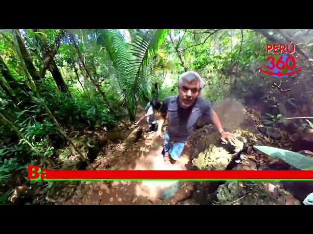 Canopy Extremo en Tingo María 2.5 Km !